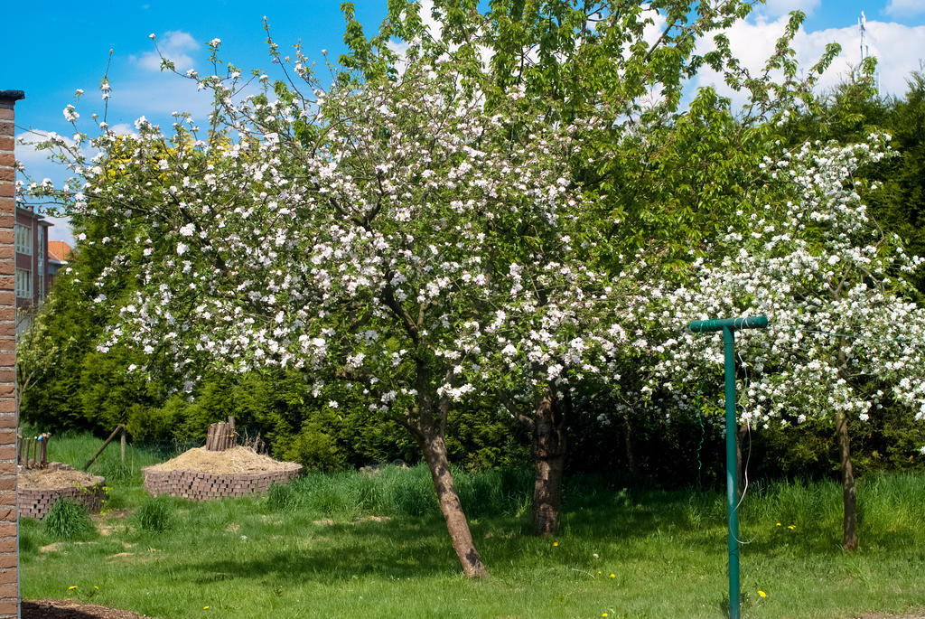 'T Bruggeske Villa Mol Kültér fotó